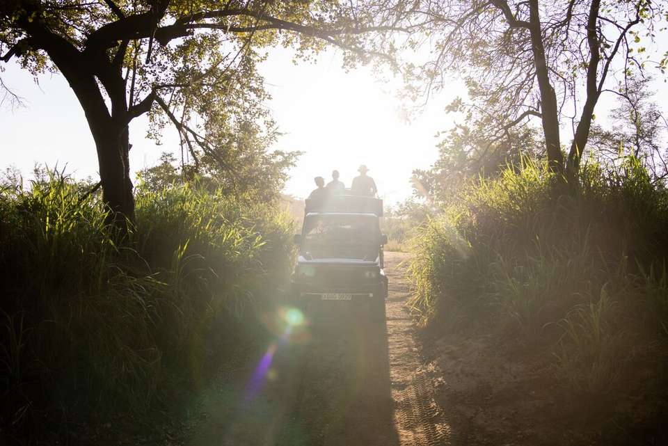 Sri Lanka Premium Family Holiday - Intrepid Travel - Sri Lanka - Image 4
