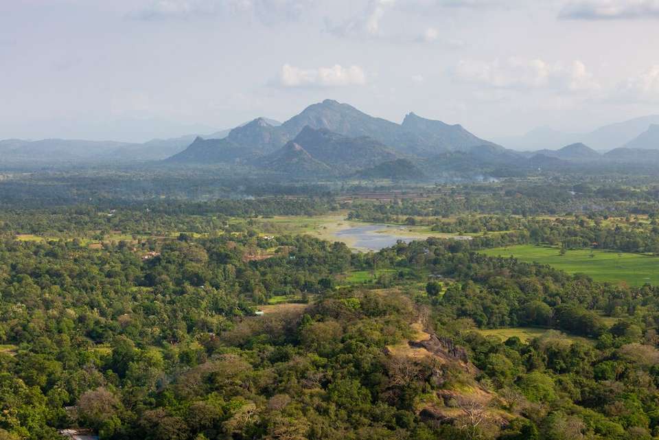 Sri Lanka Premium Family Holiday - Intrepid Travel - Sri Lanka - Image 9