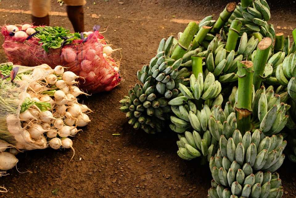 Sri Lanka Real Food Adventure - Intrepid Travel - Sri Lanka - Image 11