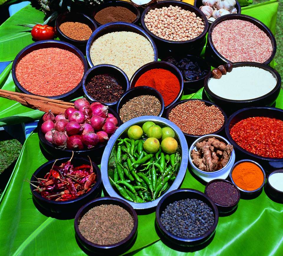 Sri Lanka Safari & Wildlife Tour - Tweet World Travel - Sri Lanka - Image 3