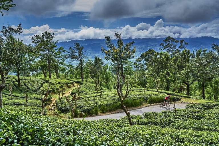 Negombo Bicycle Tour: Sri Lanka Spice Trails