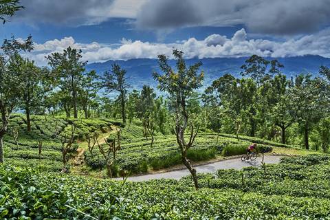 Sri Lanka Spice Trails - February 2026