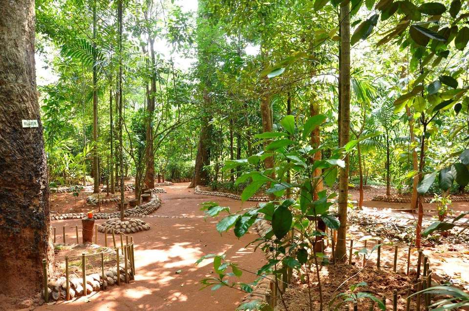 Sri Lanka, The Enchanted Island, Spanish-speaking Guide - Destination Services - Sri Lanka - Image 4