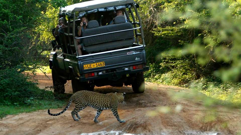 Sri Lanka Wildlife and Adventure Tour: 8 Days - undefined - Image 7