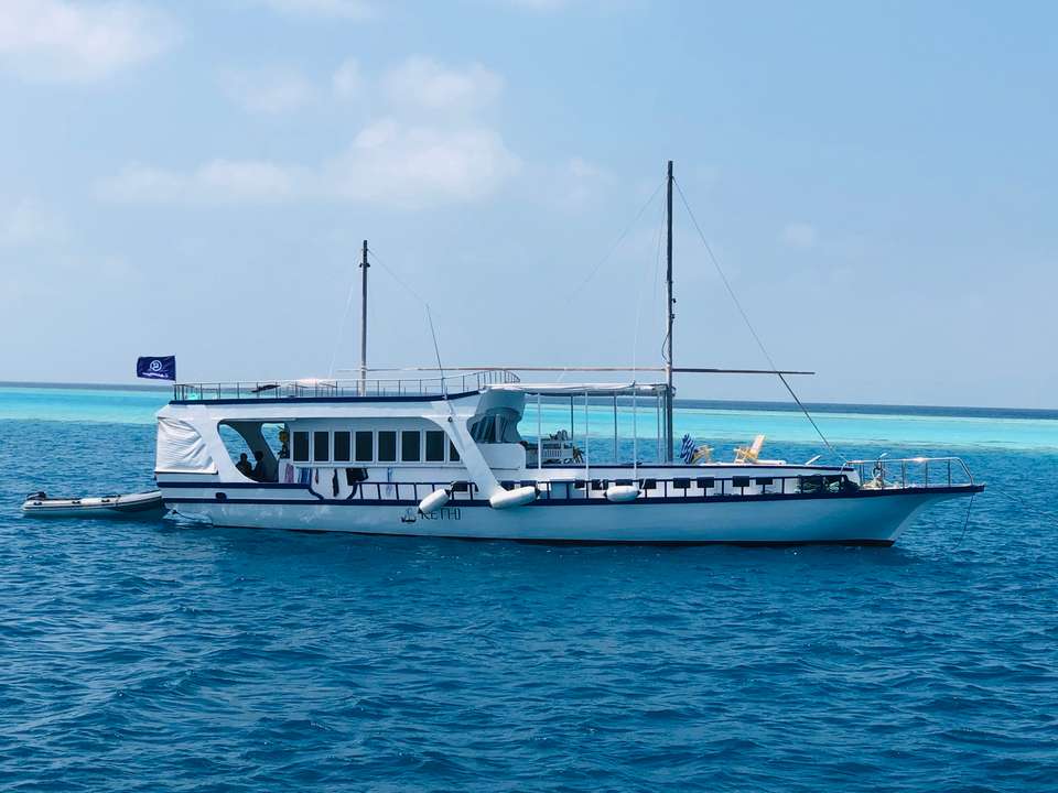 Sri Lanka with Maldives Cruise: Spice Gardens & Seasides - G Adventures - Sri Lanka - Image 12