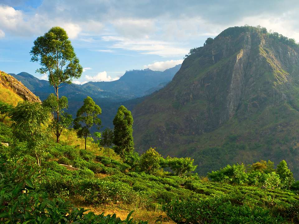 Sri Lanka Adventure - 12 days - On The Go Tours - Sri Lanka