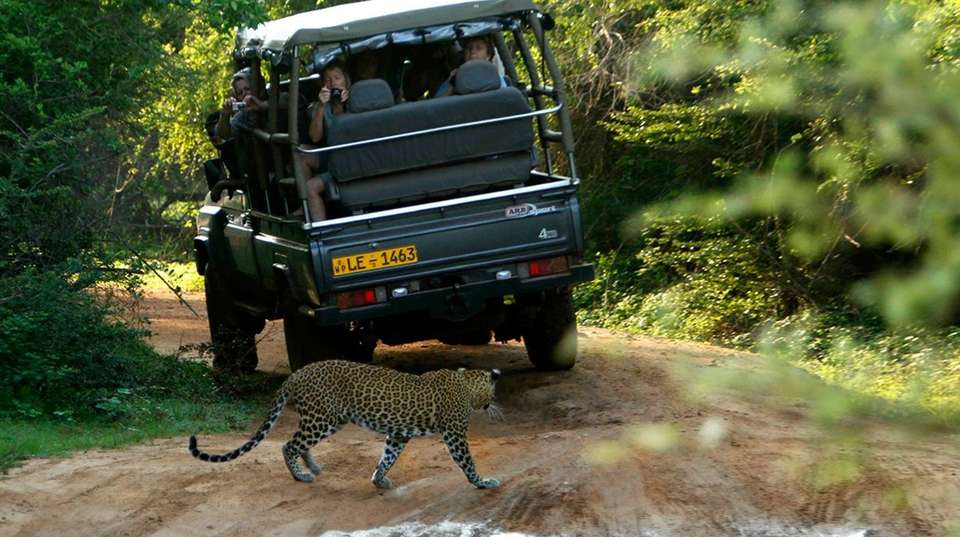 Sri Lankan Wildlife Photography Tour: 5 Days - undefined - Image 4