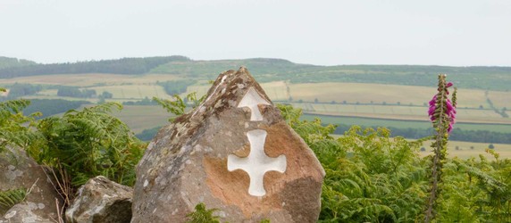 Image 5 of 12