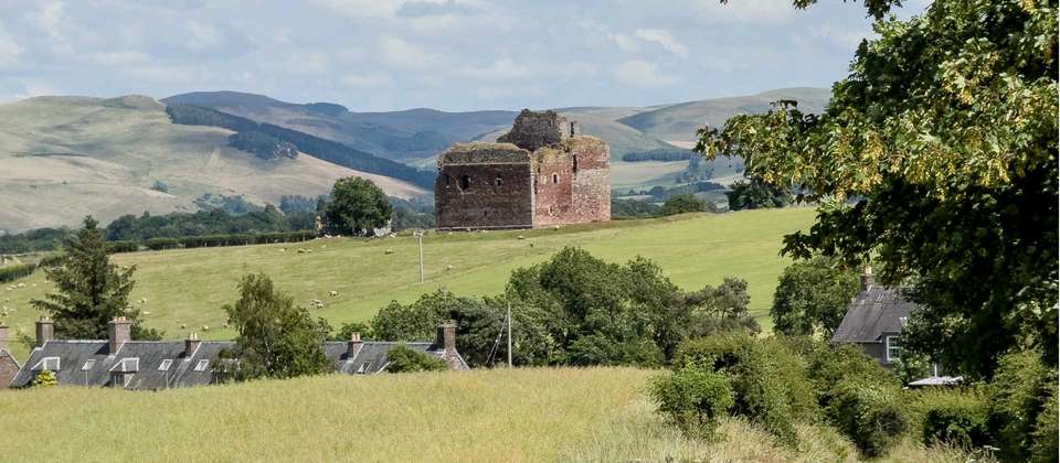 Image 12 of 14