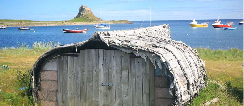 Image 12 of 12