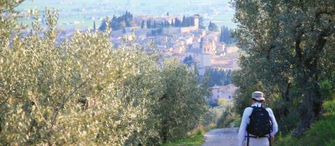 St Francis Way: Assisi To Spoleto - July 2026