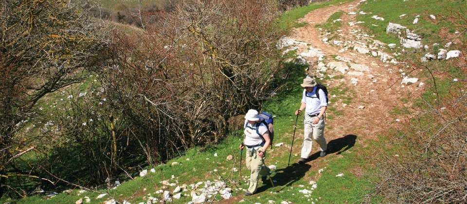 St Francis Way: Assisi to Spoleto - Utracks - Italy - Image 5