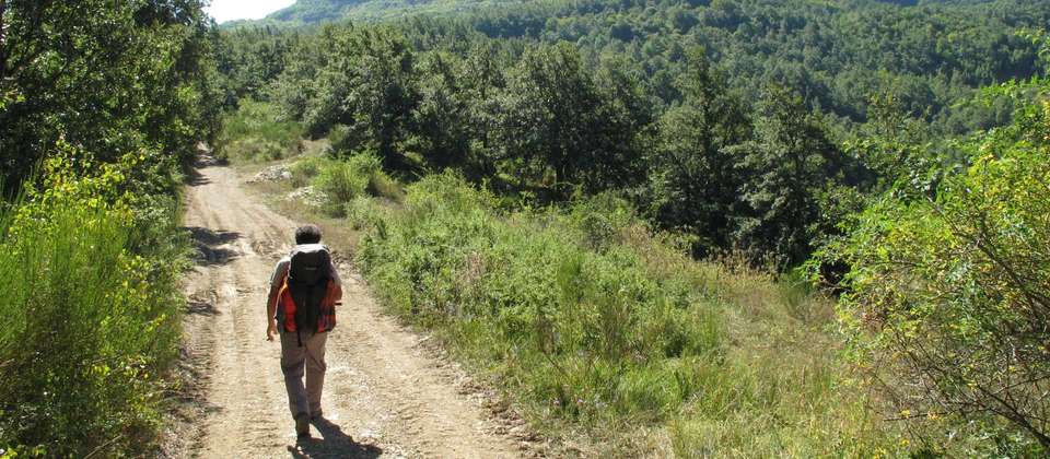 St Francis Way: Rieti to Rome - undefined - Image 7