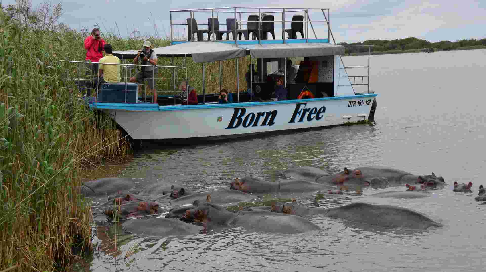 St Lucia iSimangaliso & Emdoneni Wild Cat Day Tour