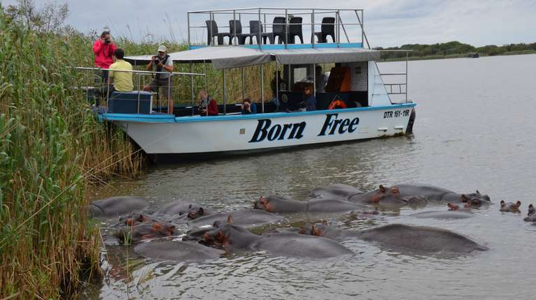 St Lucia iSimangaliso & Emdoneni Wild Cat Day Tour trip - alternative tour available