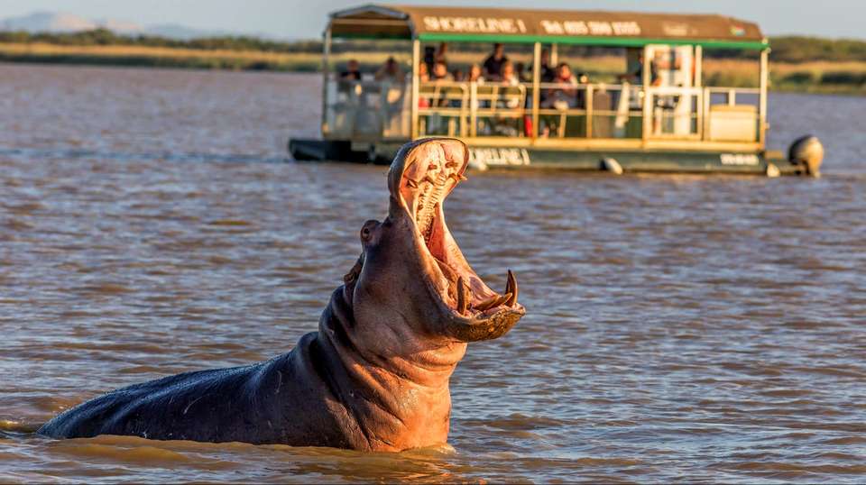 St Lucia iSimangaliso & Emdoneni Wild Cat Day Tour - Zulu Safaris - South Africa - Image 2