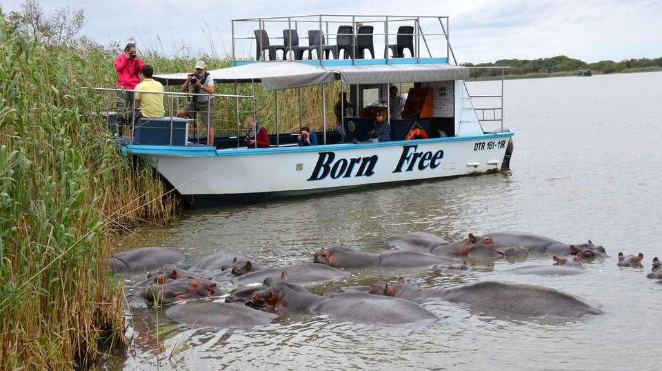 St Lucia iSimangaliso Boat Safari & DumaZulu - Zulu Safaris - South Africa - Image 4