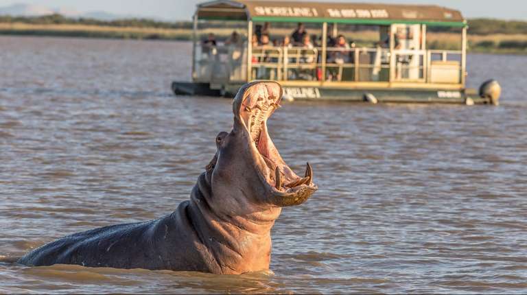 South Africa Local culture Tour: St Lucia iSimangaliso Boat Safari & DumaZulu