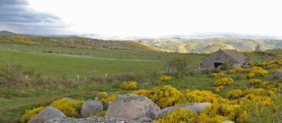 Stevenson's Trail: The Cevennes - 11 Days - Walkers' Britain - France - Image 5