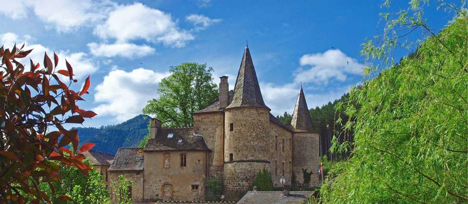 Stevenson's Trail: The Cevennes - 11 Days - Walkers' Britain - France - Image 7