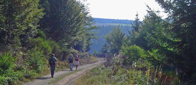 The Way of St. James Walking Tour: Stevenson's Trail: The Cevennes - 8 Days