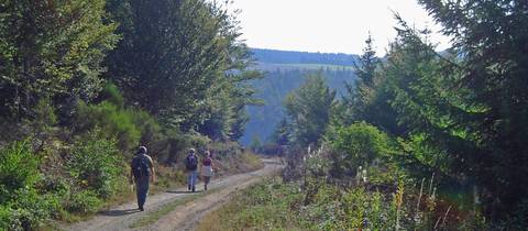 The Way Of St. James Walking Tour: Stevenson's Trail: The Cevennes - 8 Days