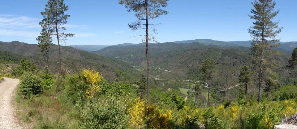 Stevenson's Trail: The Cevennes - 8 Days - Walkers' Britain - France - Image 2