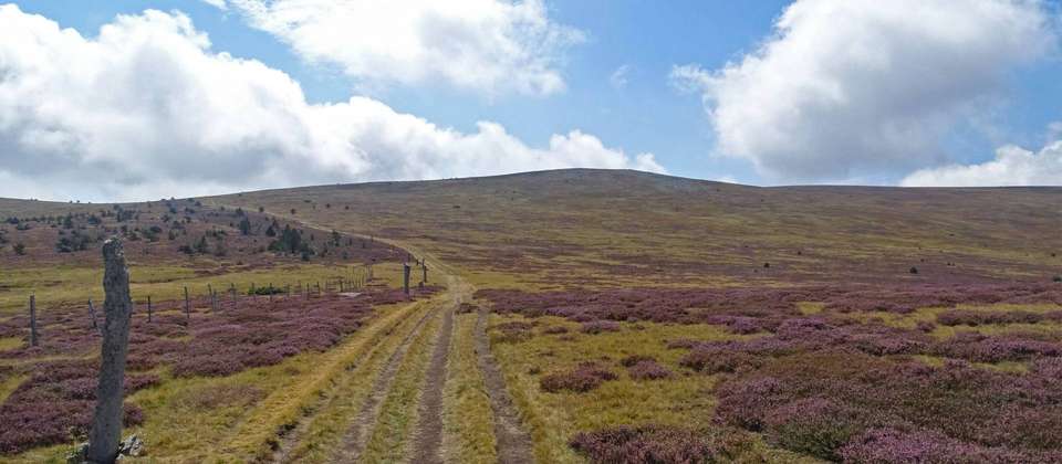 Stevenson's Trail: The Cevennes - 8 Days - Walkers' Britain - France - Image 5