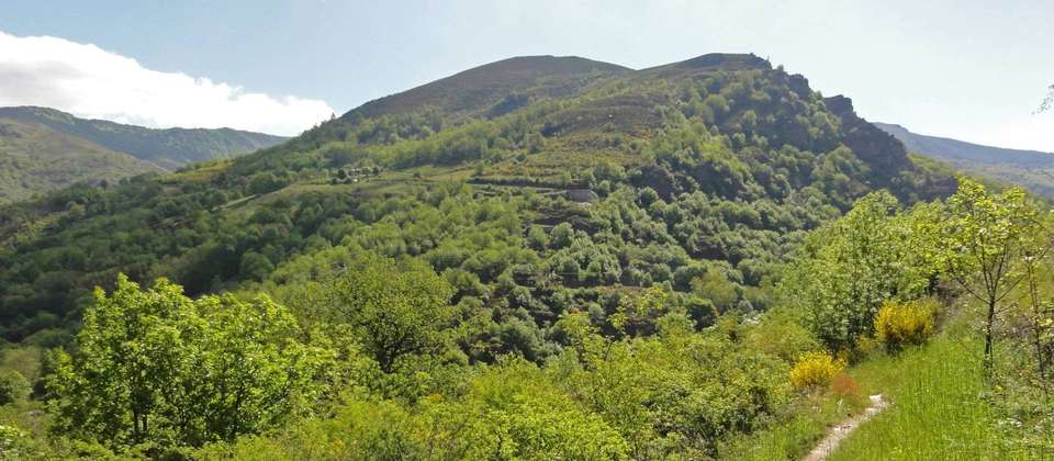 Stevenson's Trail: The Cevennes - 8 Days - Walkers' Britain - France - Image 6