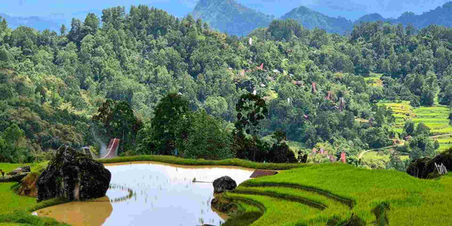 Sulawesi Adventure: The Culture of Tana Toraja