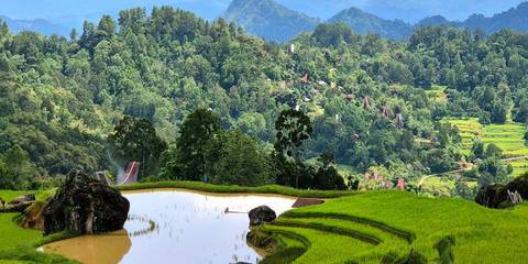 Sulawesi Adventure: The Culture Of Tana Toraja - July 2027
