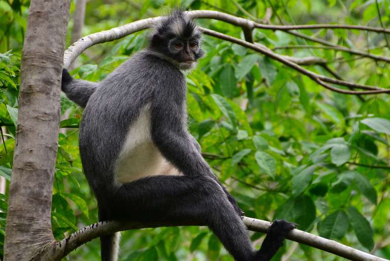 Indonesia Solo Trips: Sumatra Adventure