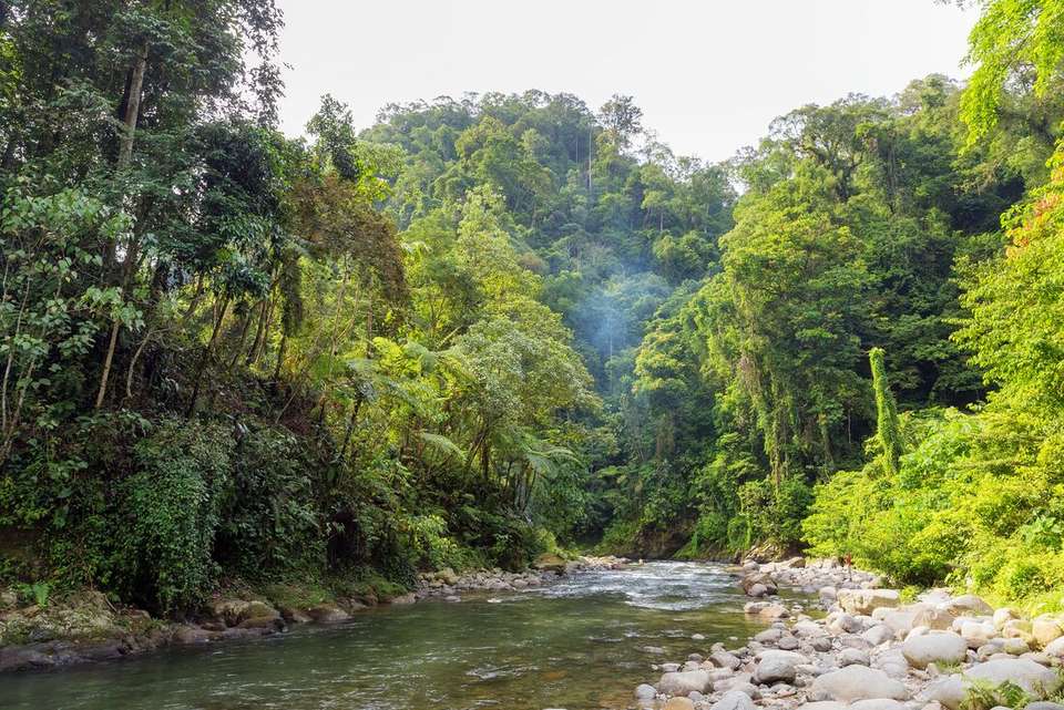 Sumatra Adventure - Intrepid Travel - Indonesia - Image 7