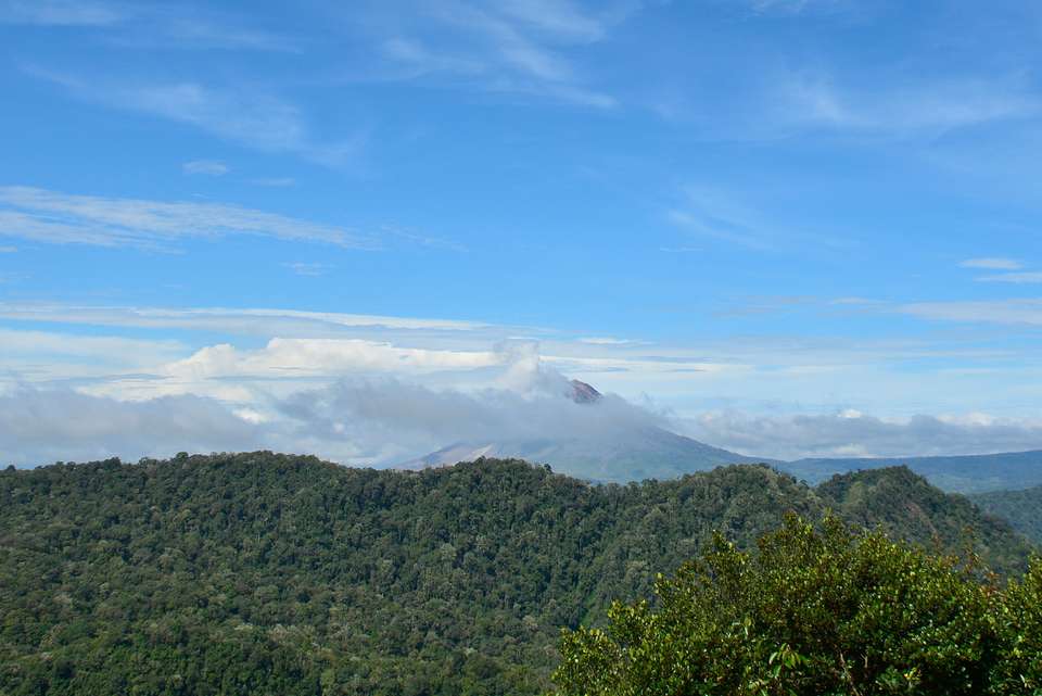Sumatra Adventure - Intrepid Travel - Indonesia - Image 8