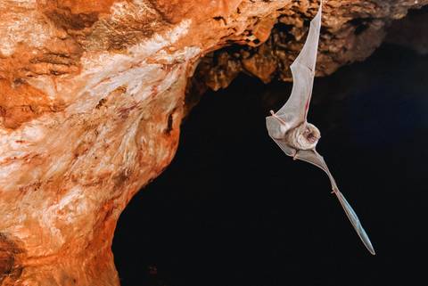 Chill Out Tour: Sumatra Uncovered