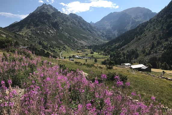 Image 5 of 8