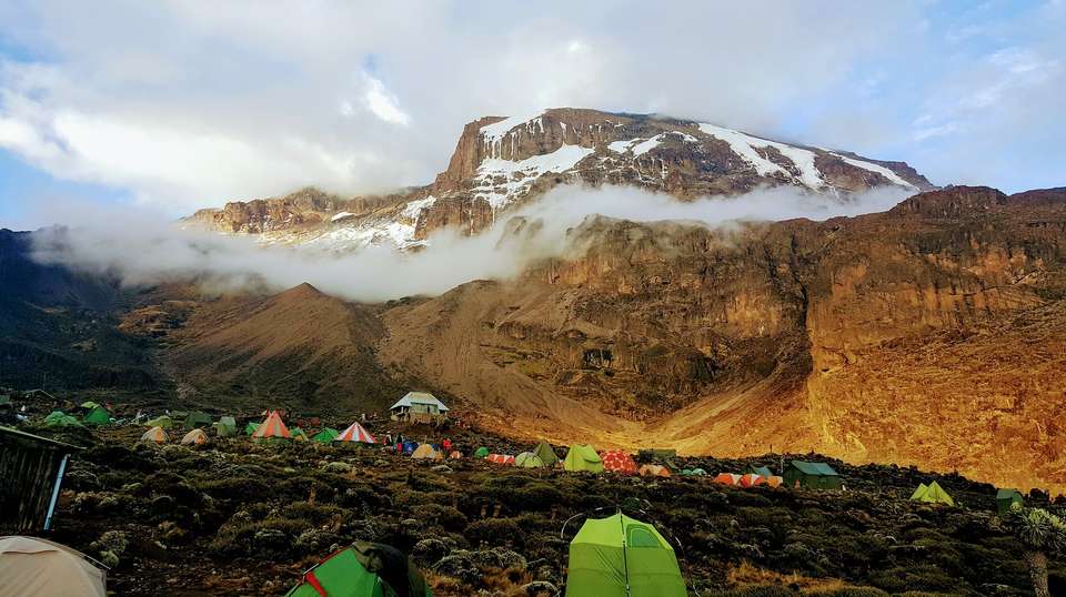 Summit Kilimanjaro via Machame Route: 7 Days - Habari Adventure - Tanzania - Image 3