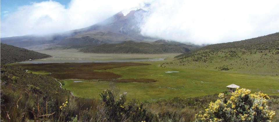 Summits of Ecuador - World Expeditions - Ecuador - Image 7