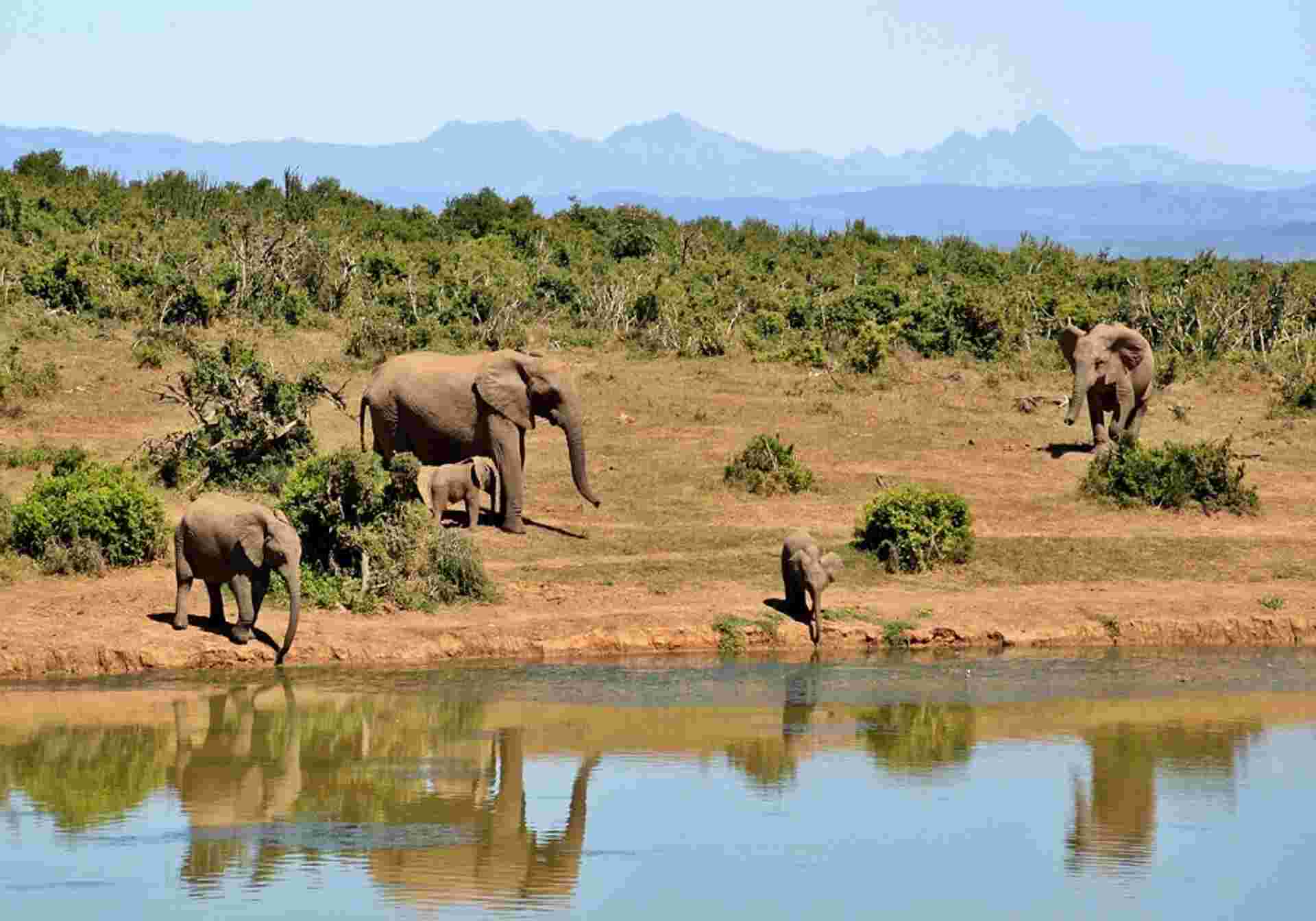 Super South Africa