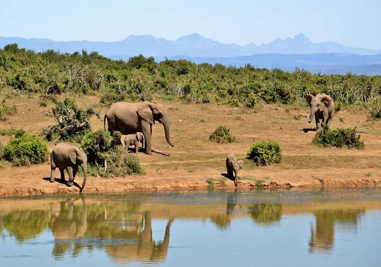 Super South Africa - 8 days