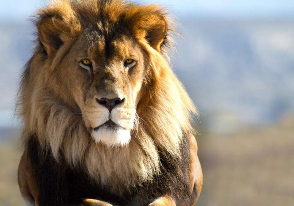 Super South Africa - Indus Travels - South Africa - Image 7