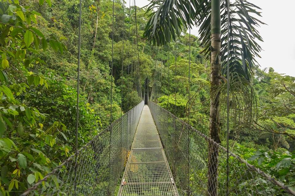 Supersaver | Costa Rica Essentials Plus & Manuel Antonio Extension, 10 Days - Destination Services - Costa Rica - Image 6