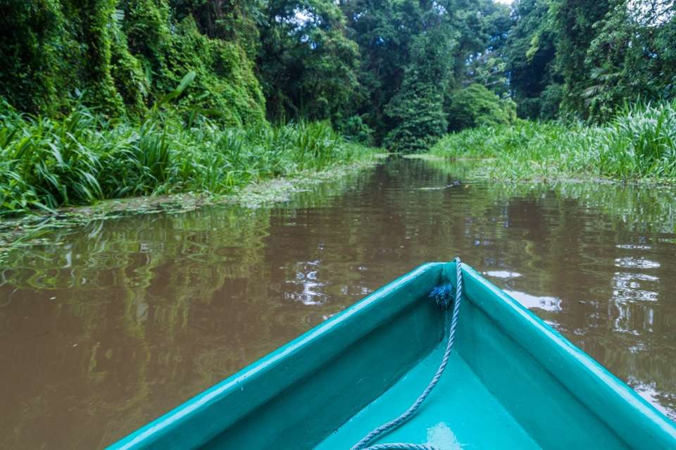 Supersaver | Discovering Costa Rica, 14 Days - Destination Services - Costa Rica - Image 5