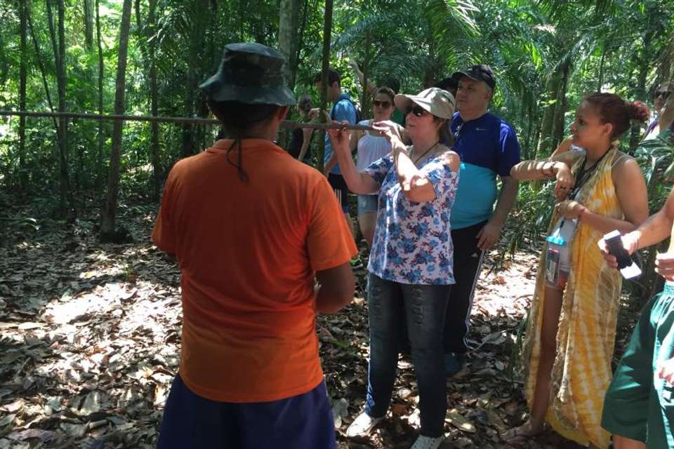 Surviving In The Jungle - Tangol Tours - Brazil - Image 1