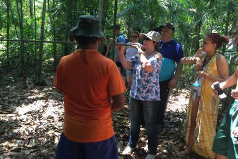 Manaus Explorer Tour: Surviving In The Jungle
