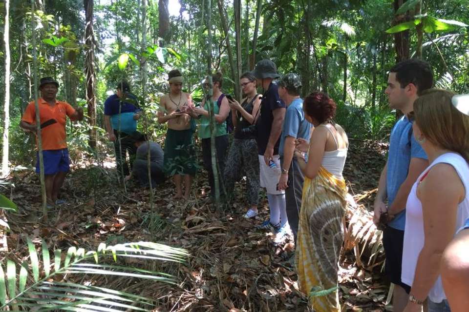 Surviving In The Jungle - Tangol Tours - Brazil - Image 2