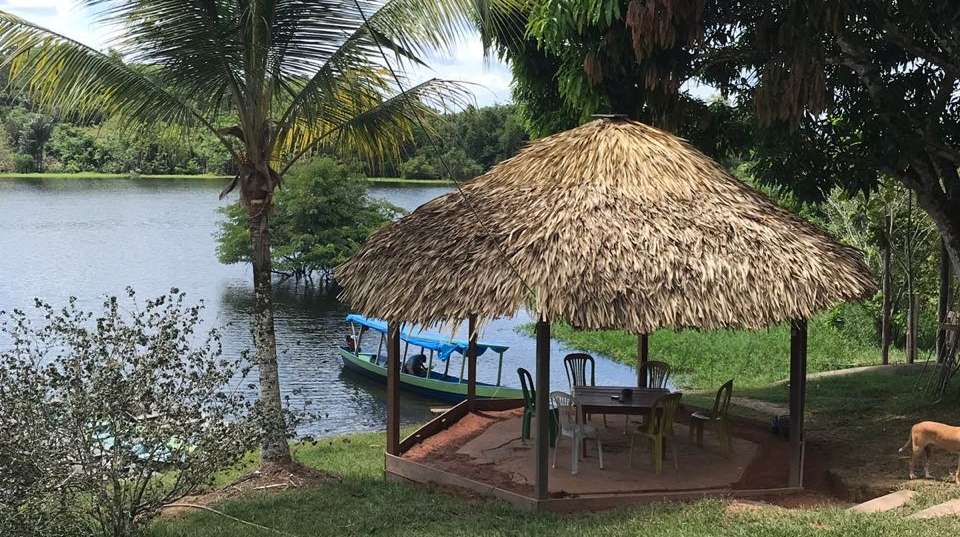  Amazon Rainforest Sustainable Experience - Nattrip - Brazil - Image 2