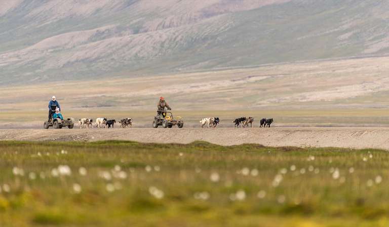 Svalbard Arctic Adventure - Polar Summer trip - alternative tour available