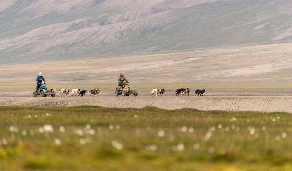 Svalbard Arctic Adventure - Polar Summer - Exodus Adventure Travels - Norway - Image 1