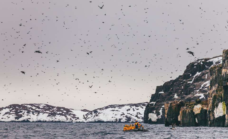 Svalbard Explorer: Best of High Arctic Norway - Quark Expeditions - Finland - Image 5